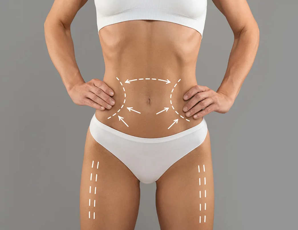 Body anatomy illustration